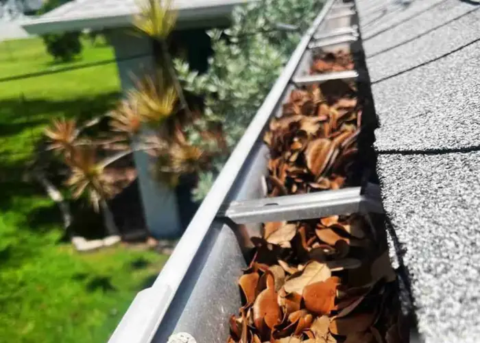 Santaquin gutter cleaning home page